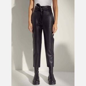 Aritizia, Wilfred high-tied faux leather pants, size S